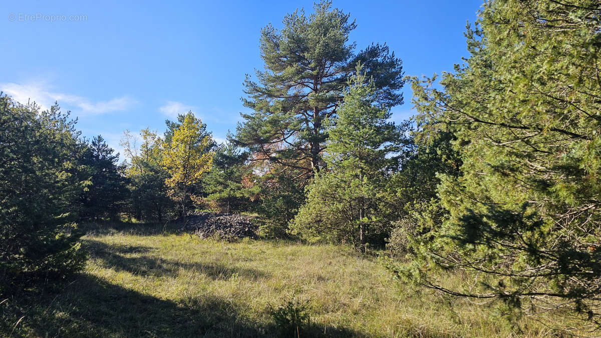 Terrain à SAINT-VALLIER-DE-THIEY