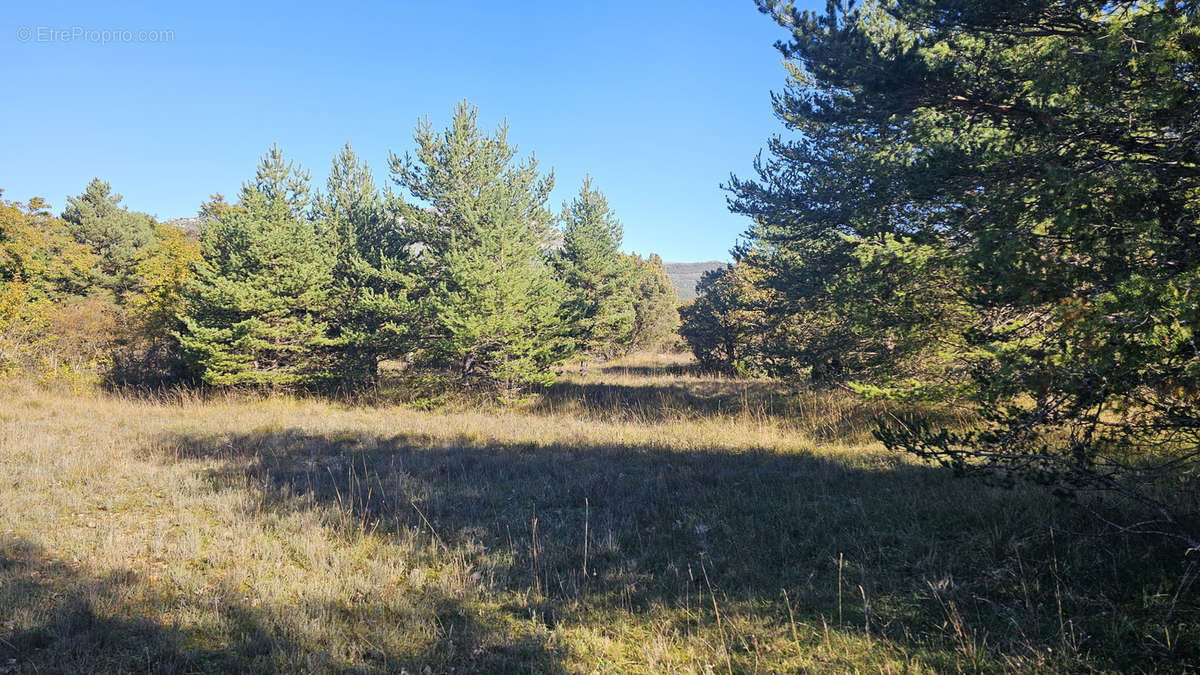 Terrain à SAINT-VALLIER-DE-THIEY