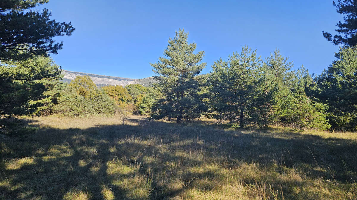 Terrain à SAINT-VALLIER-DE-THIEY