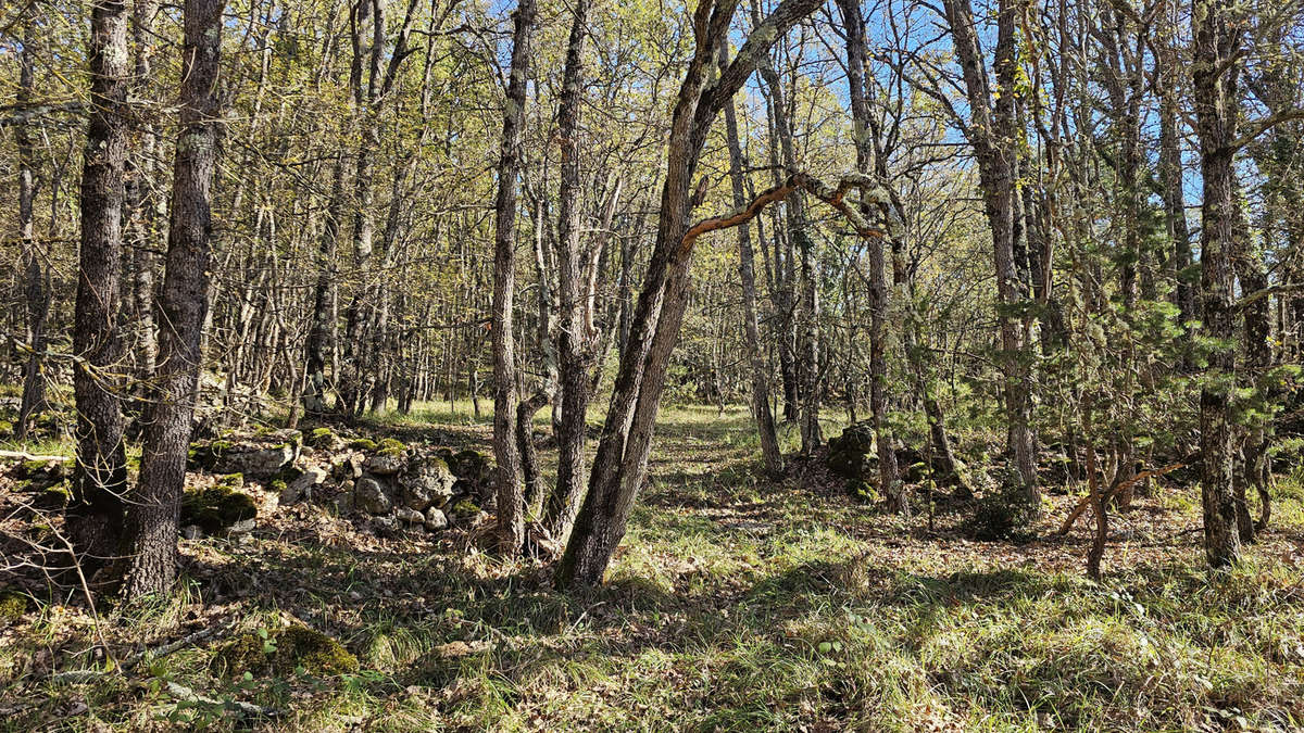 Terrain à SAINT-VALLIER-DE-THIEY