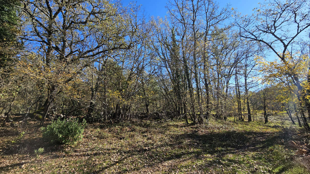 Terrain à SAINT-VALLIER-DE-THIEY