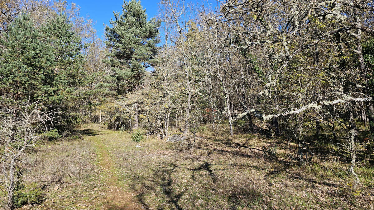 Terrain à SAINT-VALLIER-DE-THIEY