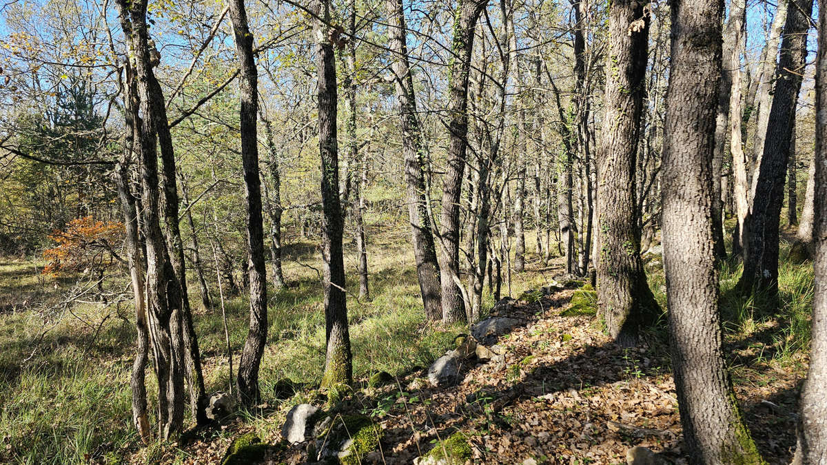 Terrain à SAINT-VALLIER-DE-THIEY