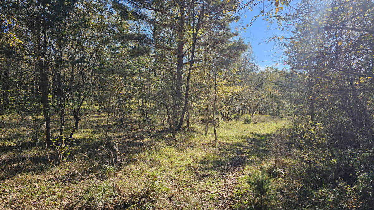 Terrain à SAINT-VALLIER-DE-THIEY