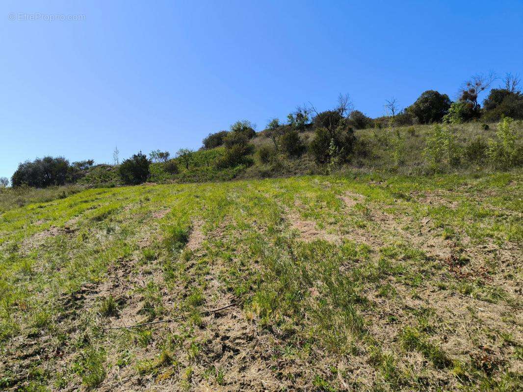 Terrain à LIMOUX