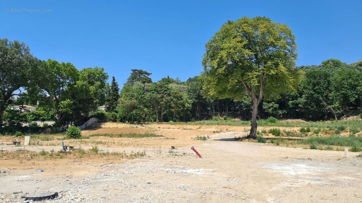 Terrain à MONTELIMAR