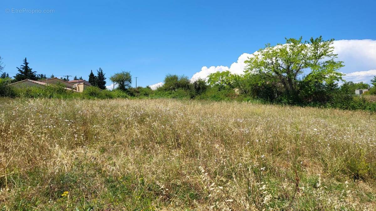 Terrain à VILLENEUVE-DE-BERG