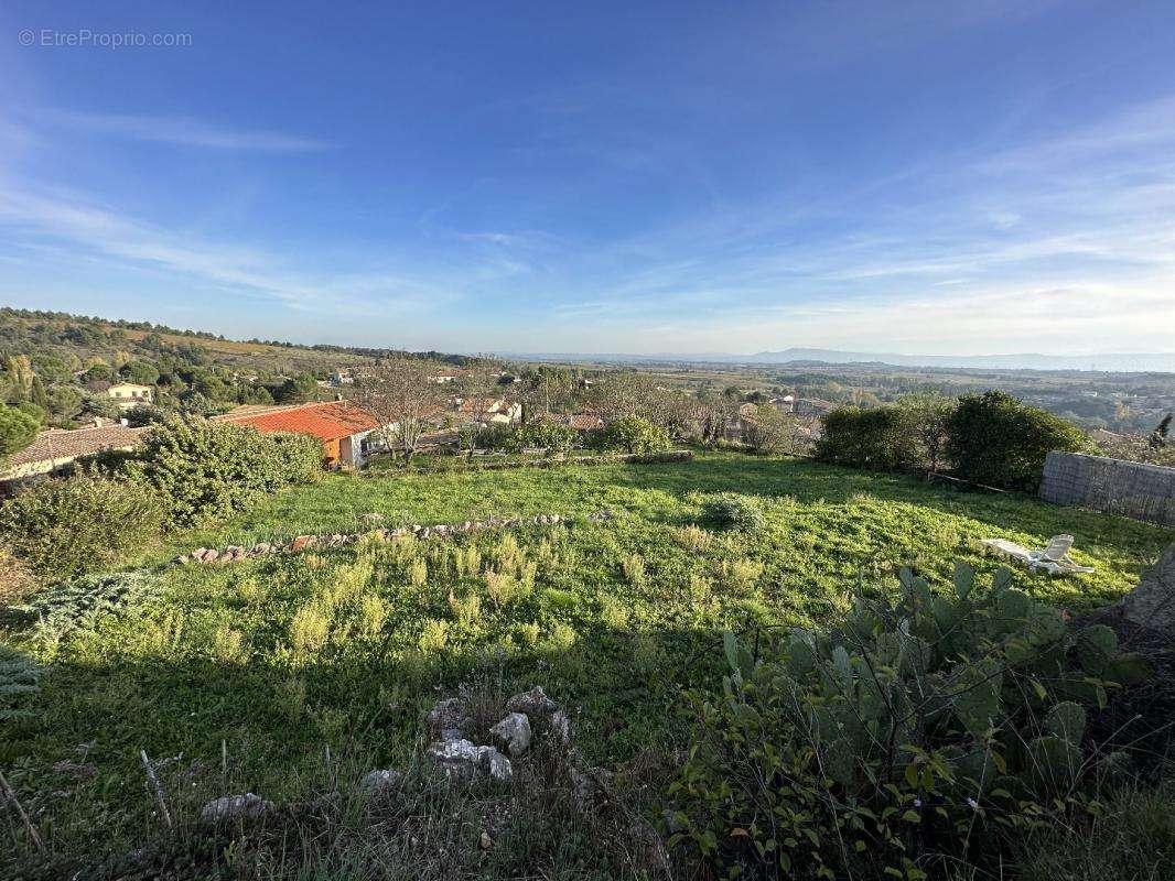 Terrain à CAUNES-MINERVOIS