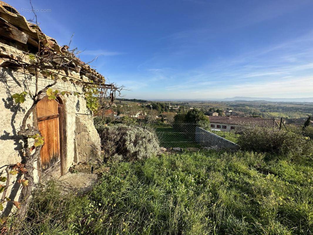 Terrain à CAUNES-MINERVOIS