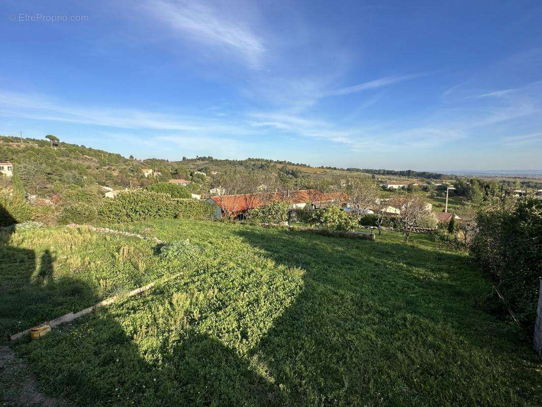 Terrain à CAUNES-MINERVOIS