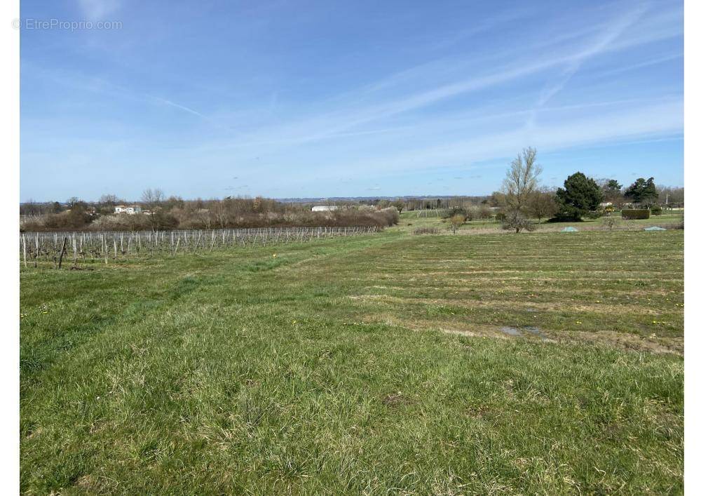 Terrain à SAINT-GERMAIN-DU-PUCH