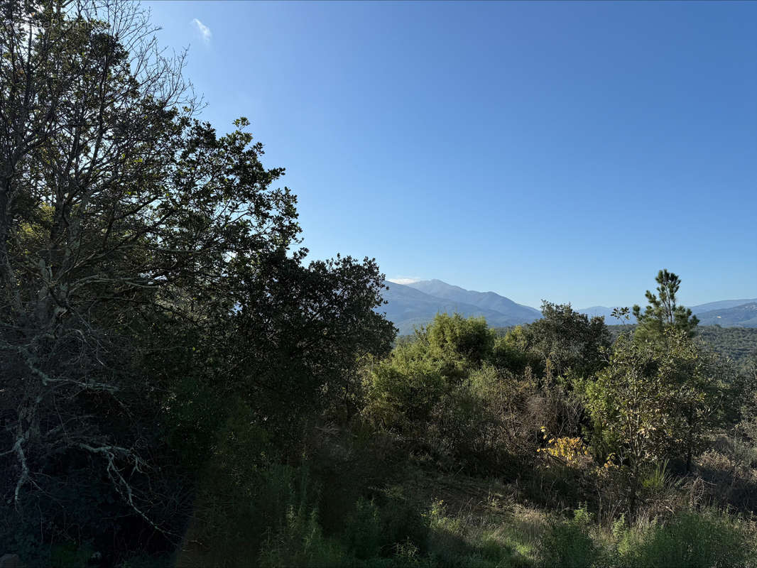 Terrain à CERET