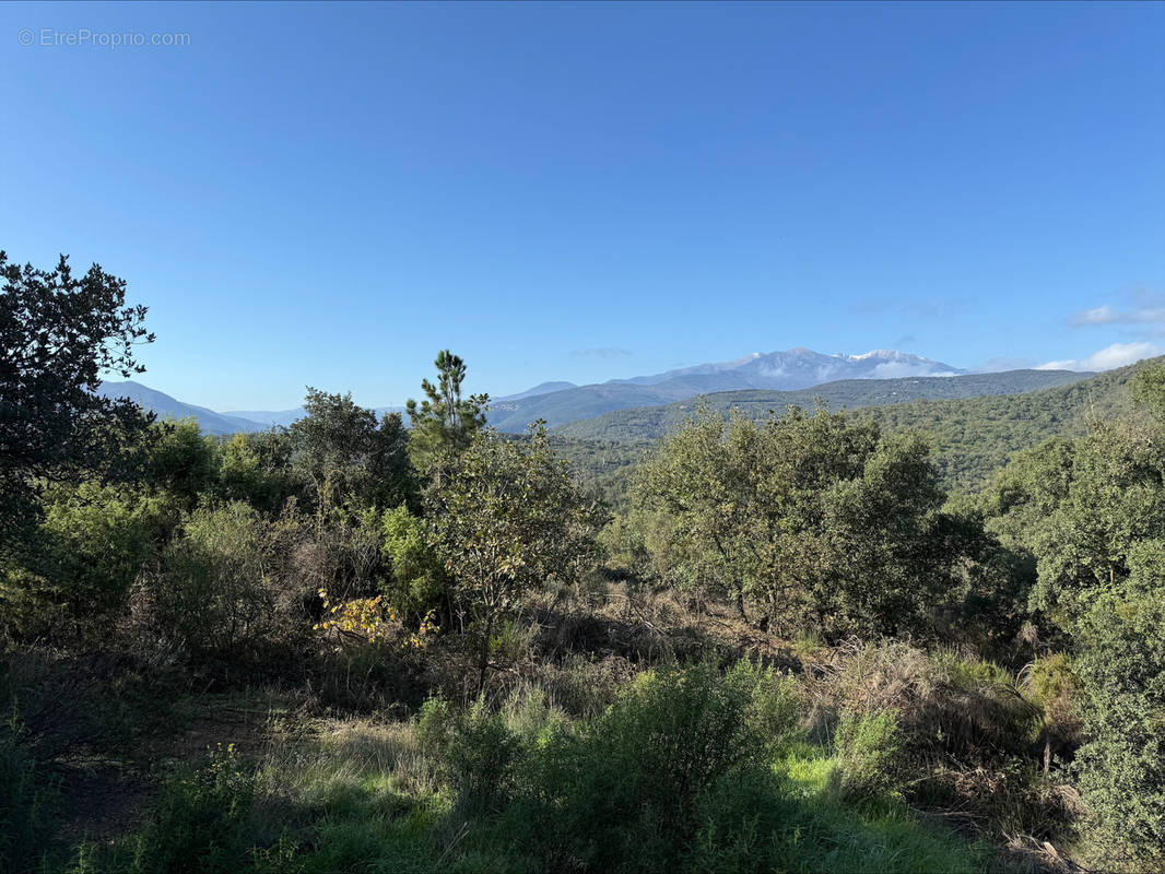 Terrain à CERET