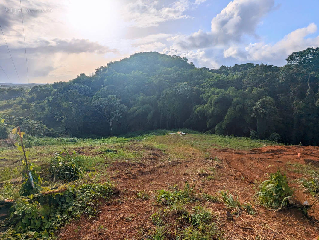 Terrain à DUCOS