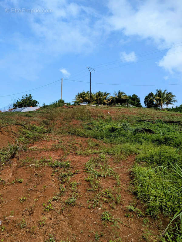 Terrain à DUCOS