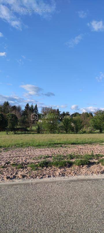 Terrain à MONCLAR-DE-QUERCY