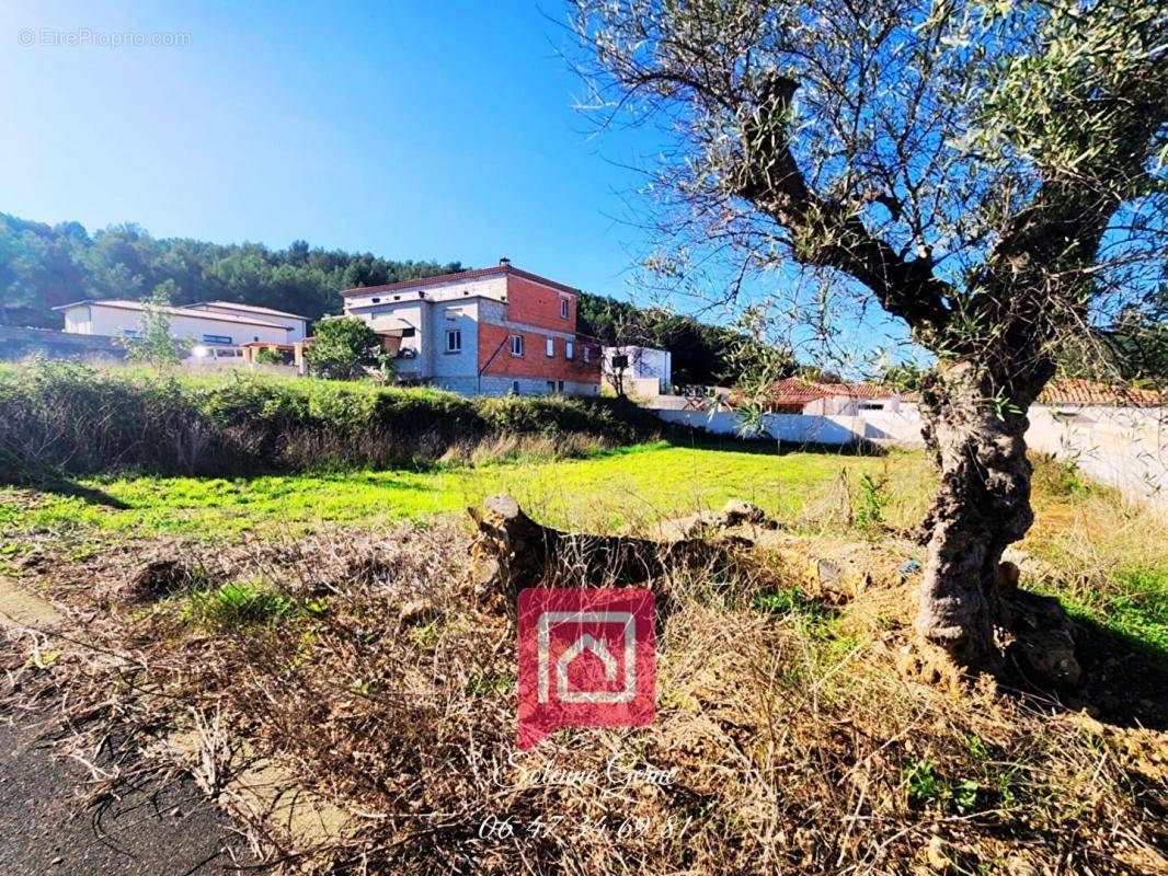 Terrain à CESSENON-SUR-ORB