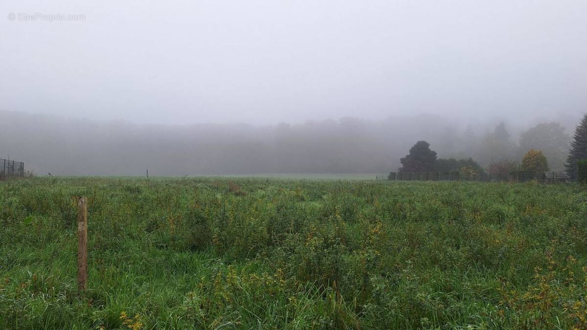 Terrain à VILLERS-COTTERETS