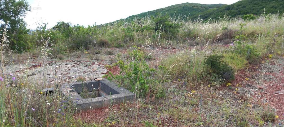 Terrain à LIAUSSON