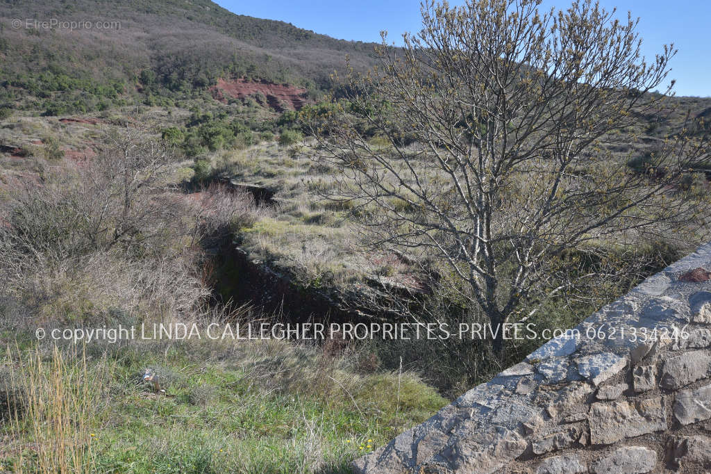 Terrain à LIAUSSON