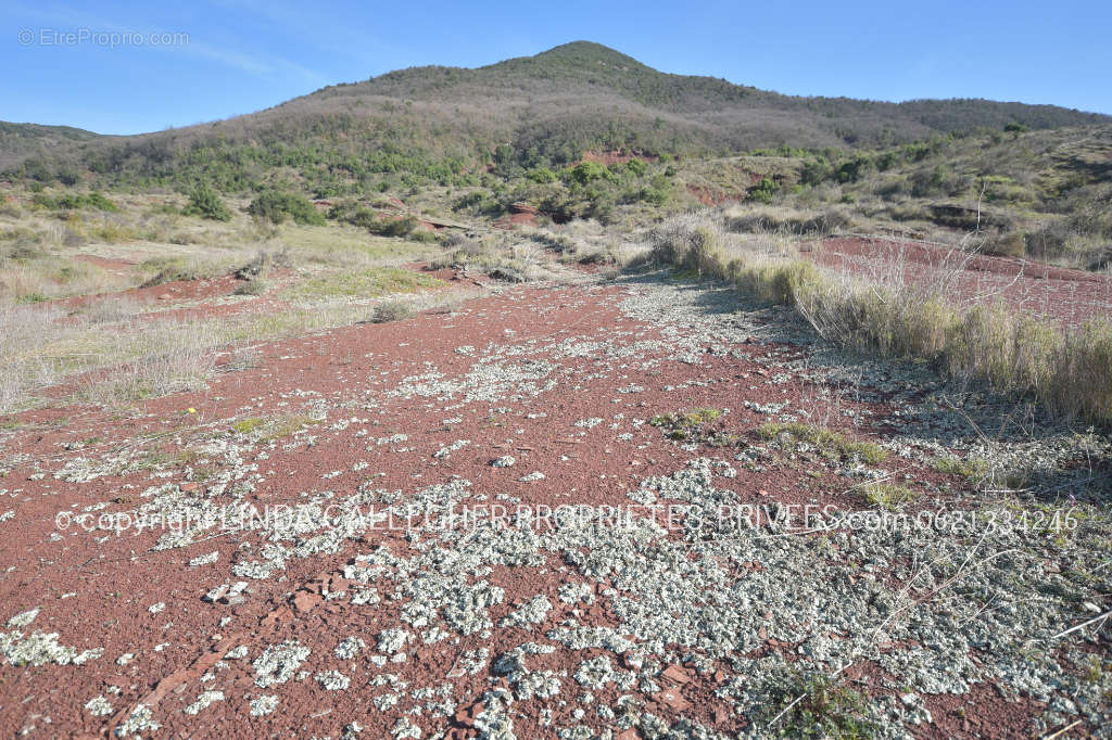 Terrain à LIAUSSON