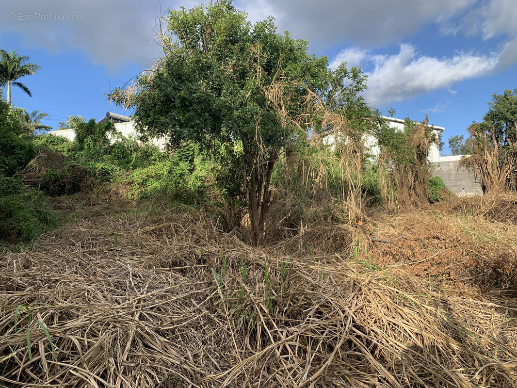 Terrain à LE TAMPON