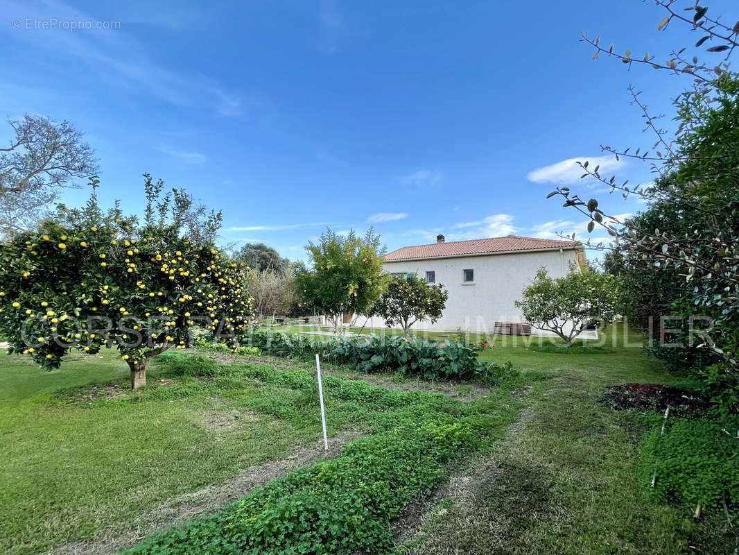 Maison à CERVIONE