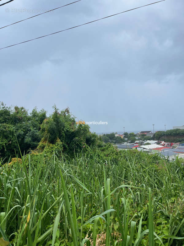 Terrain à BASSE-TERRE