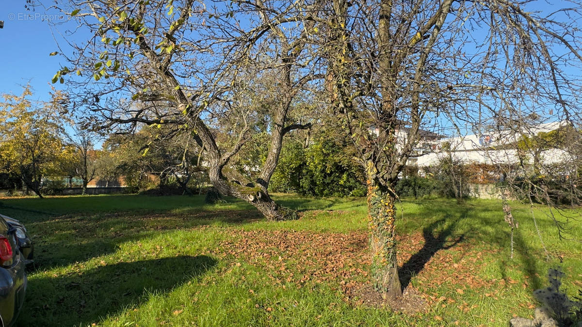 Terrain à VILLE-LA-GRAND