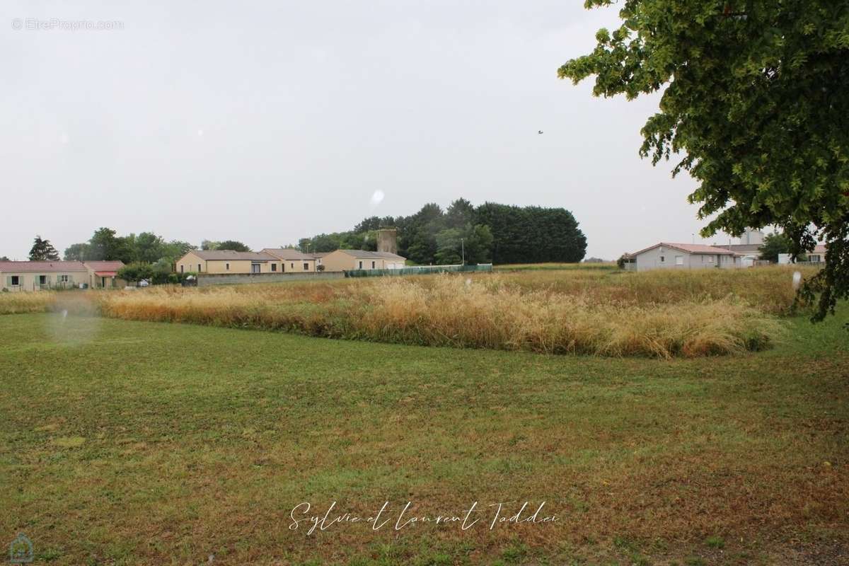 Terrain à SAINT-GENIS-DE-SAINTONGE