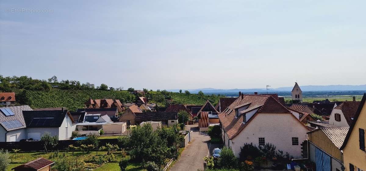 Appartement à MITTELWIHR