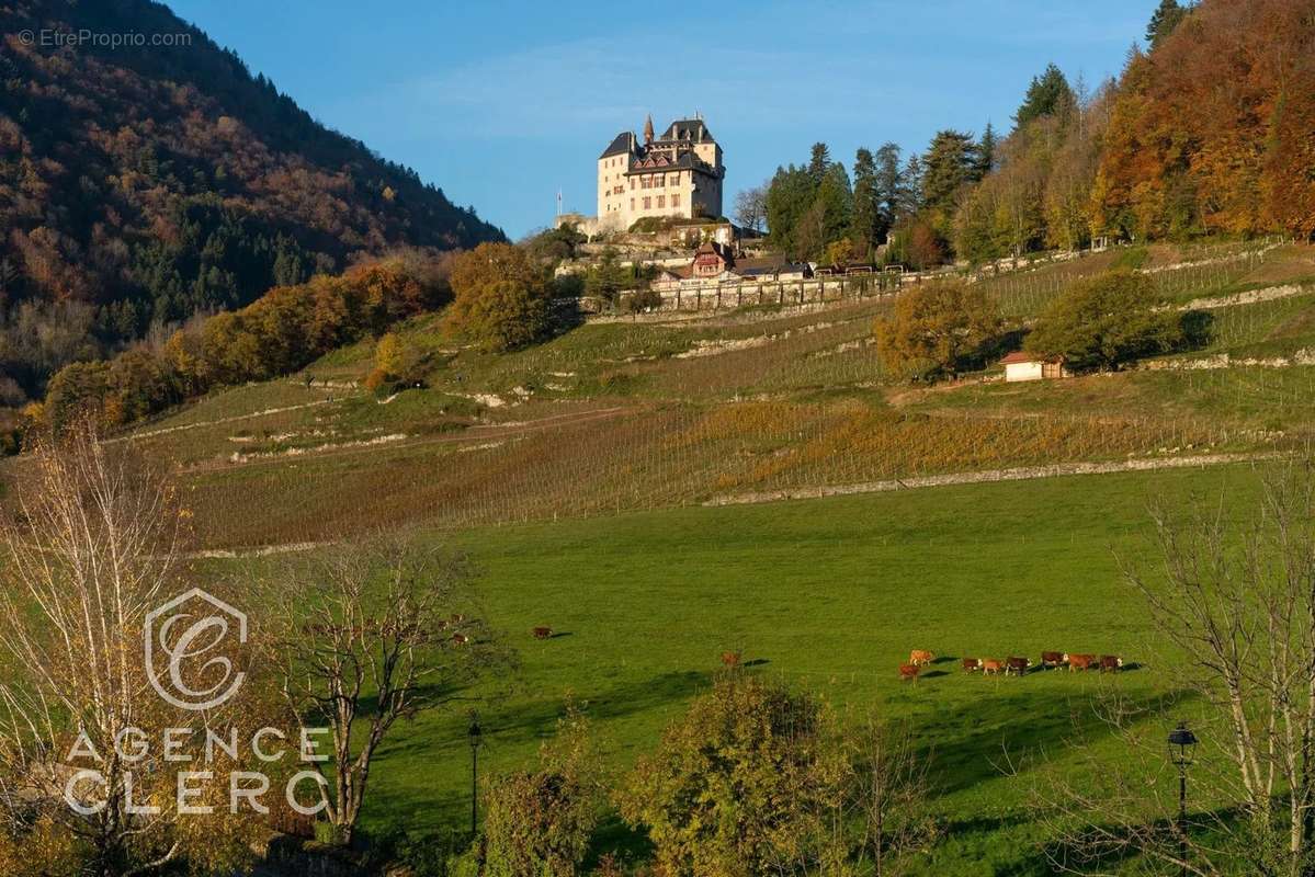 Maison à MENTHON-SAINT-BERNARD