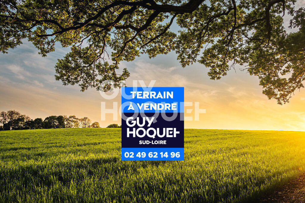 Terrain à THOUARE-SUR-LOIRE