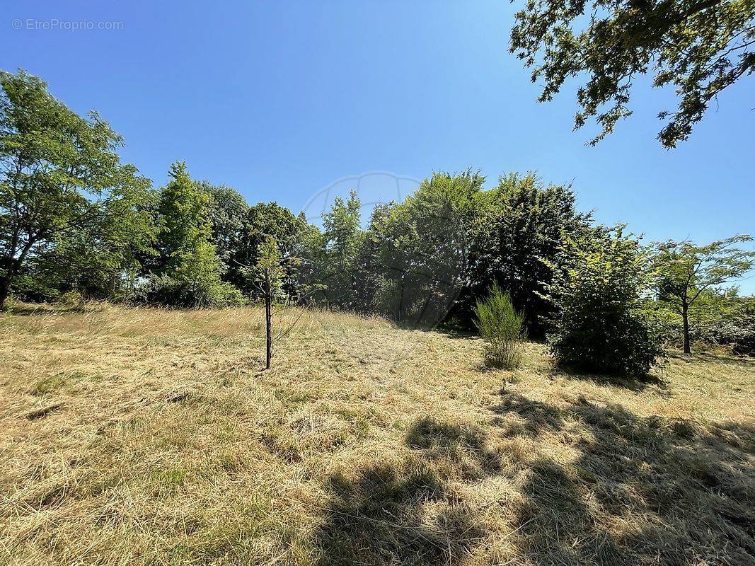 Terrain à LE LANDREAU