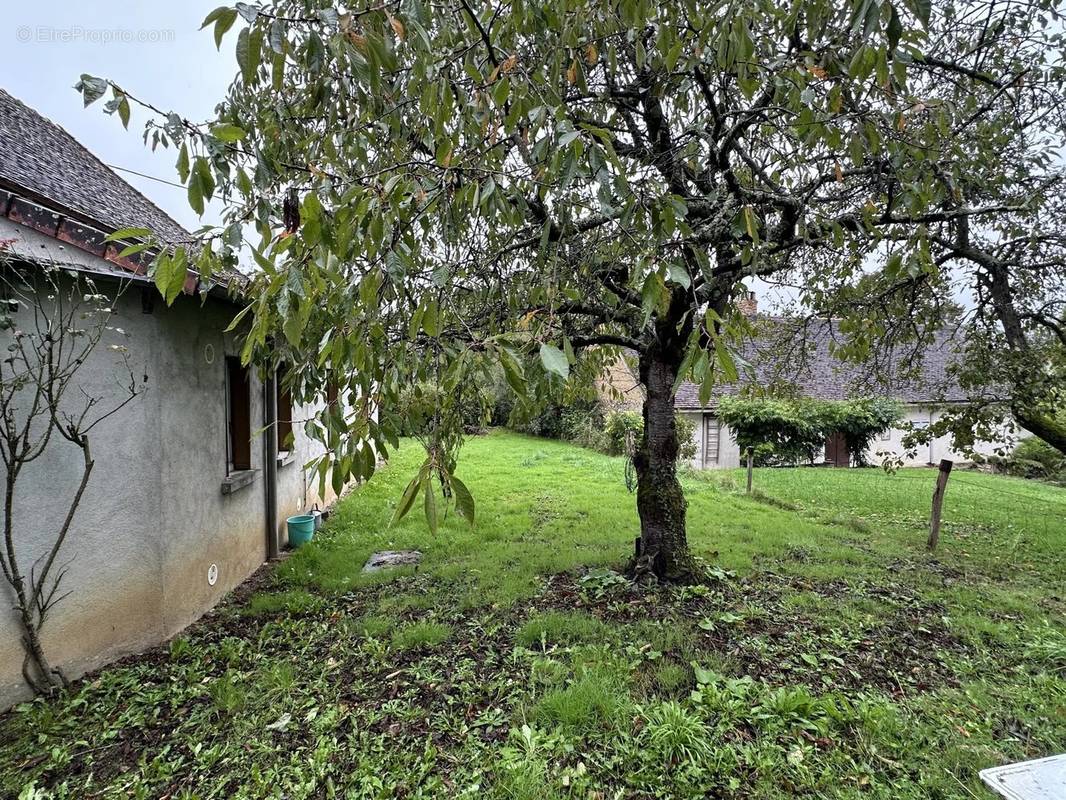 Maison à COULONGES