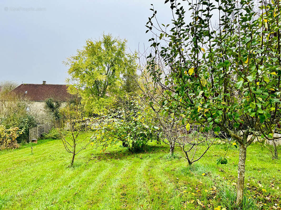 Maison à BUSSY-EN-OTHE