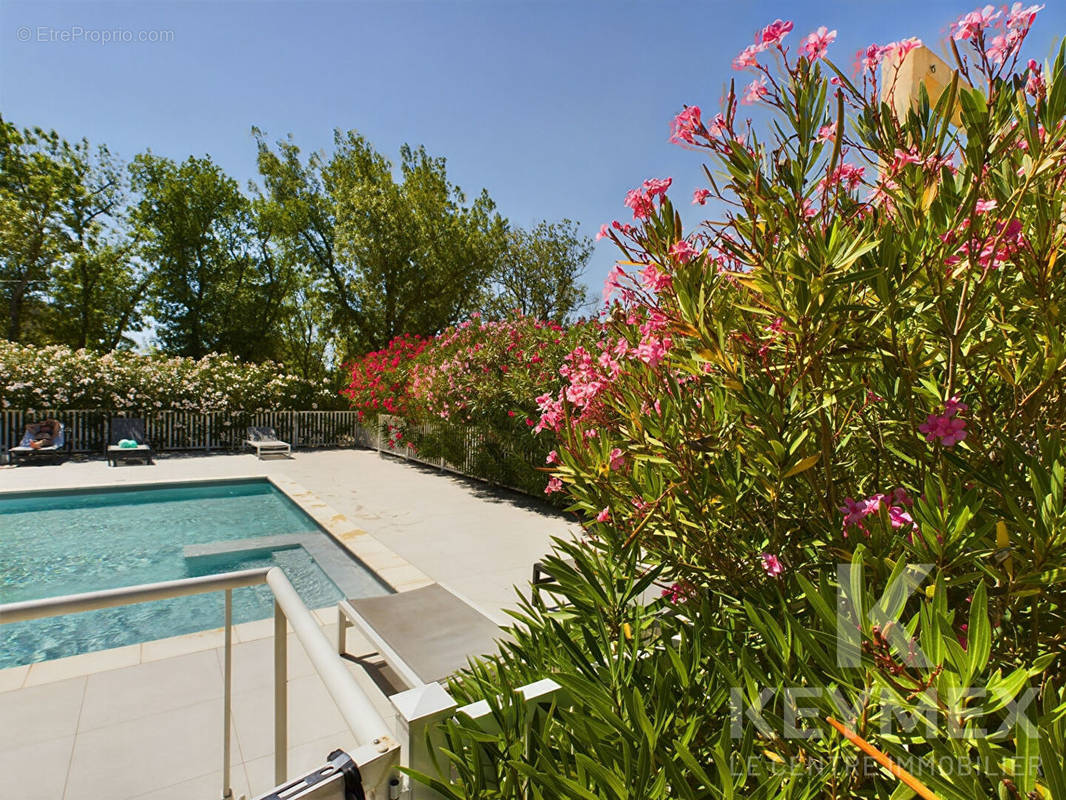 Appartement à SAINT-REMY-DE-PROVENCE