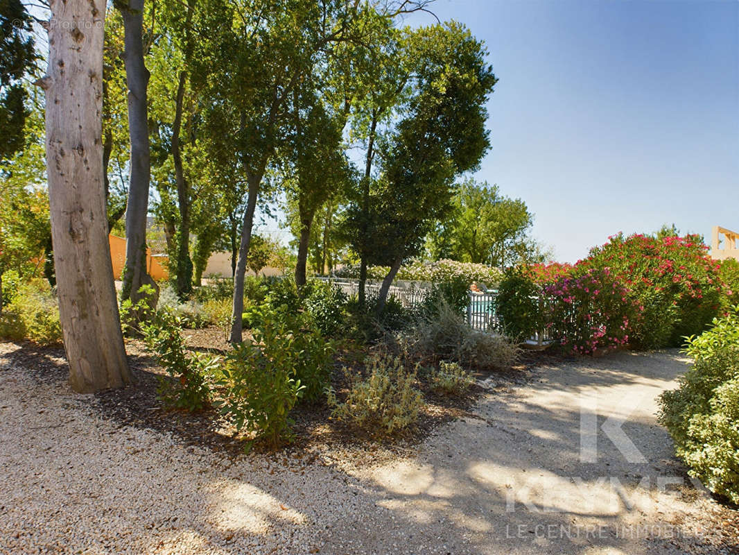 Appartement à SAINT-REMY-DE-PROVENCE