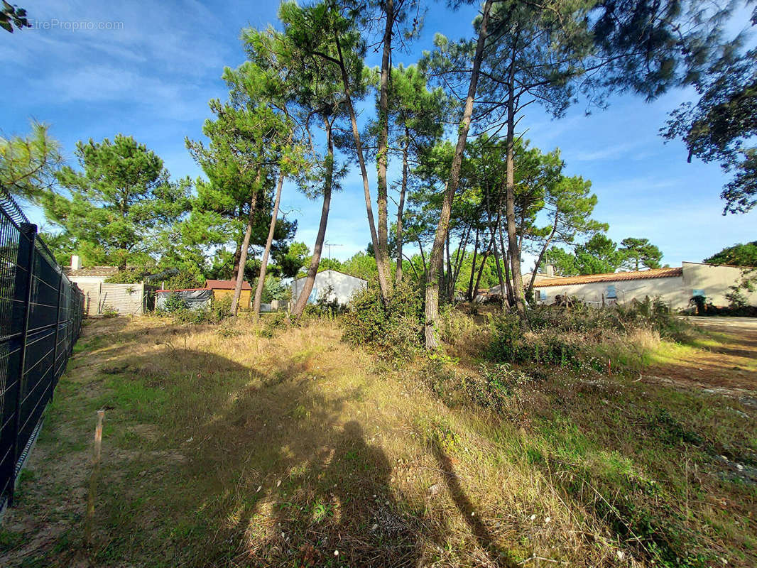 Terrain à SAINT-GEORGES-D&#039;OLERON