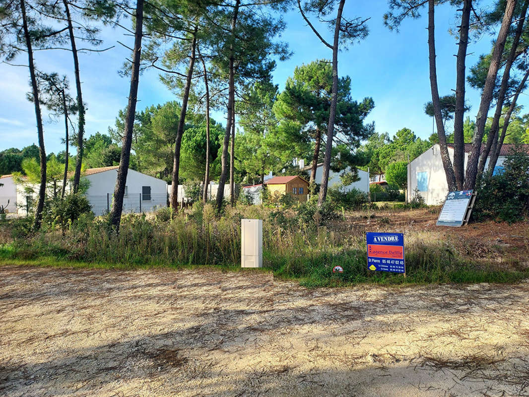 Terrain à SAINT-GEORGES-D&#039;OLERON