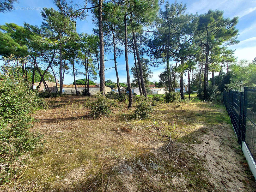 Terrain à SAINT-GEORGES-D&#039;OLERON