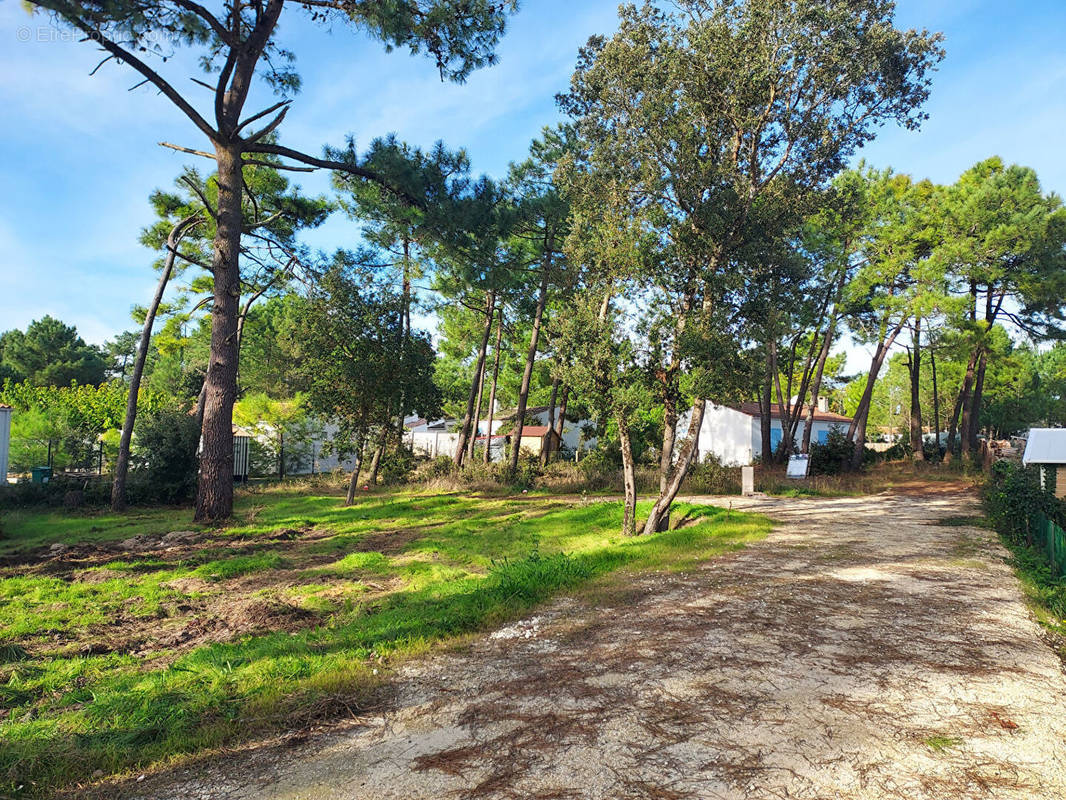 Terrain à SAINT-GEORGES-D&#039;OLERON