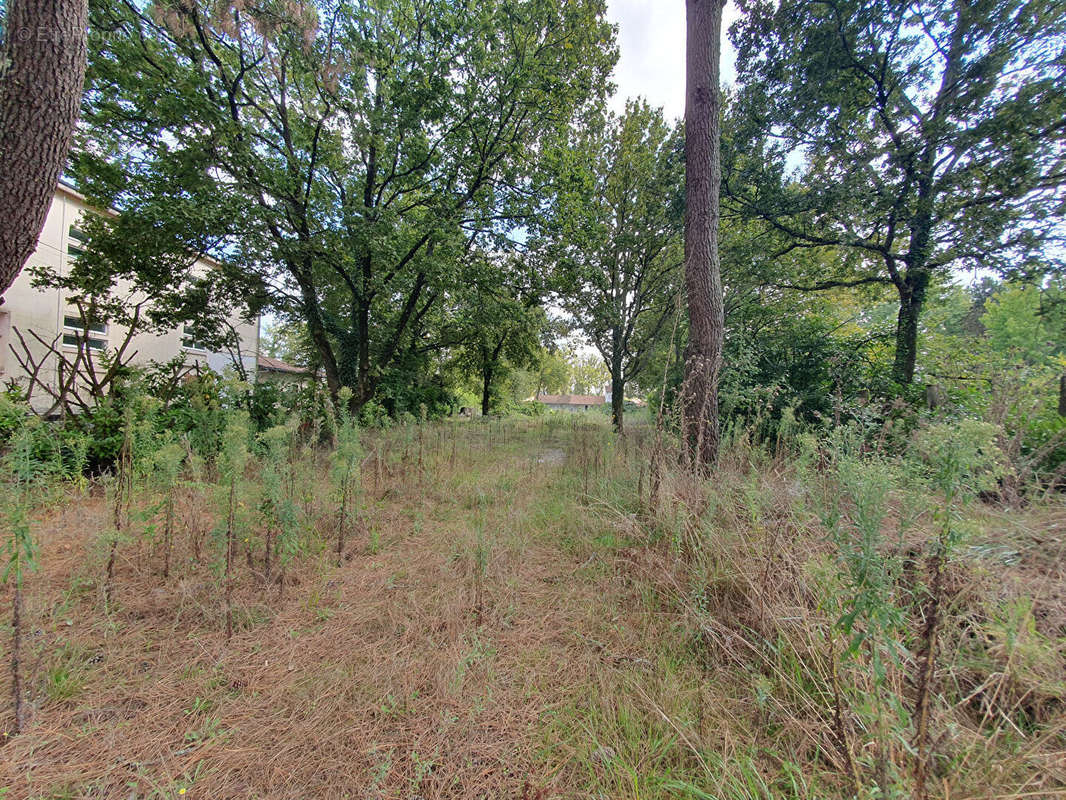 Terrain à MERIGNAC