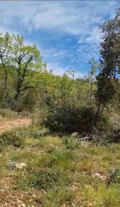 Terrain à SAINT-CEZAIRE-SUR-SIAGNE