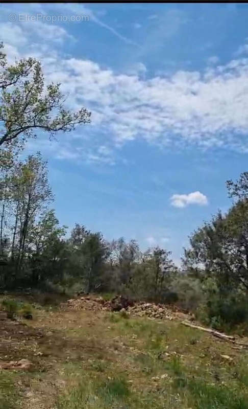 Terrain à SAINT-CEZAIRE-SUR-SIAGNE