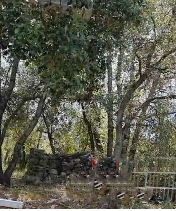 Terrain à SAINT-CEZAIRE-SUR-SIAGNE