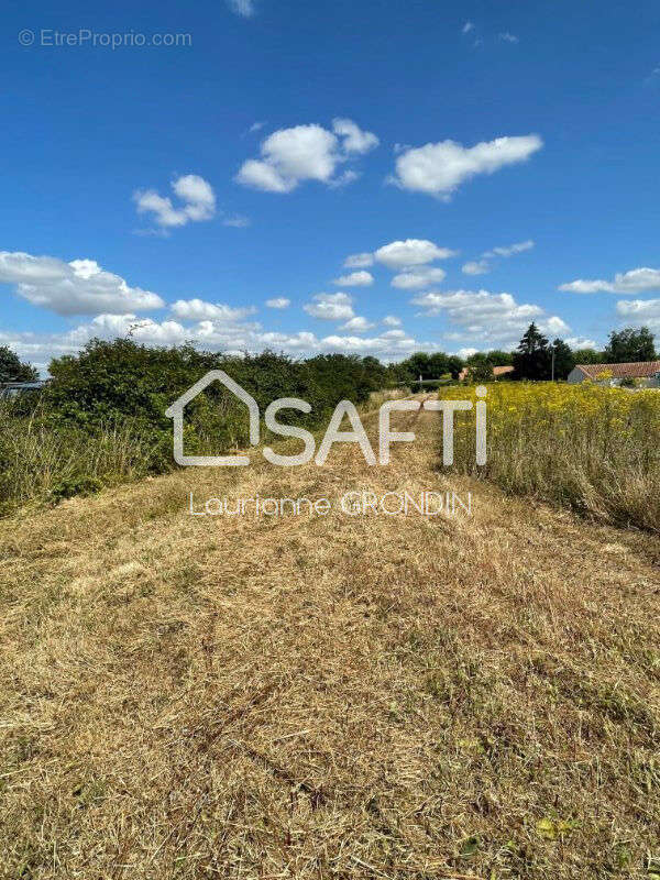 Photo 2 - Terrain à ASNIERES-LA-GIRAUD