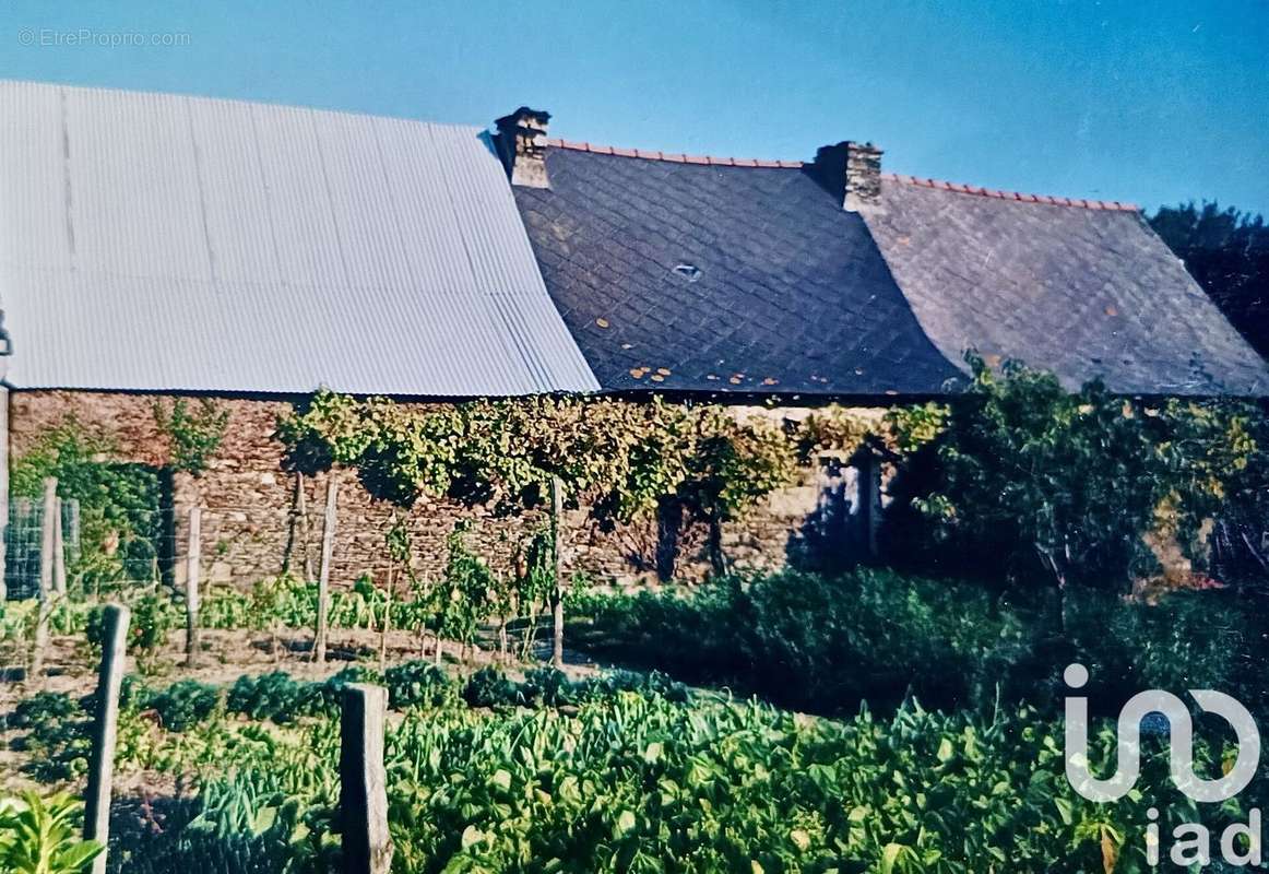 Photo 4 - Maison à SAINT-SULPICE-DES-LANDES