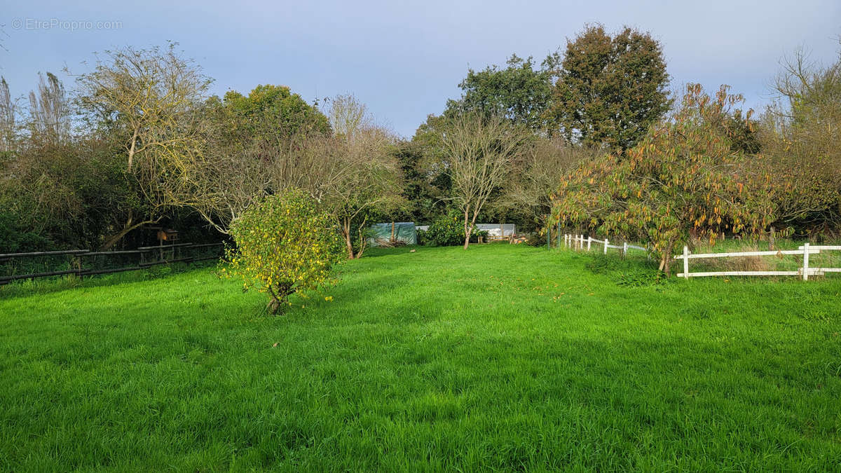 Maison à BOIS-DE-CENE