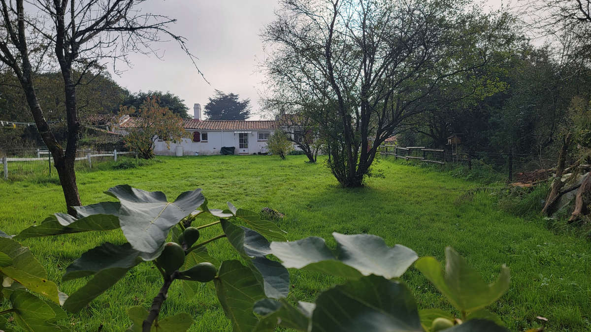 Maison à BOIS-DE-CENE